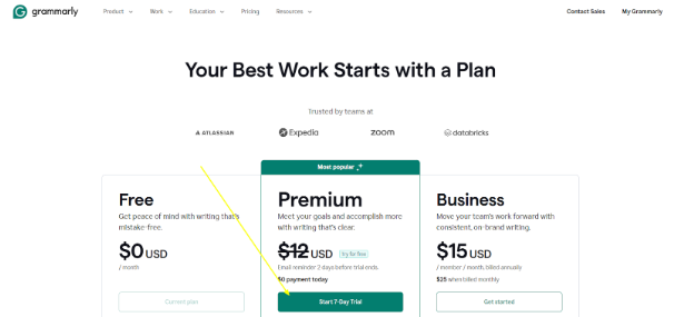 Select the Grammarly Premium Plan